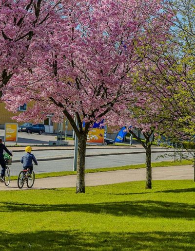 Tranås med omnejd